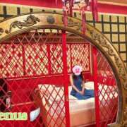 Venus【ヴィーナス】 8月につきまして🏝️ LOVEキタ兎我野店