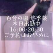 ヒメ日記 2024/12/17 15:58 投稿 悠季菜(ゆきな) 人妻出逢い会 百合の園 山の手本店