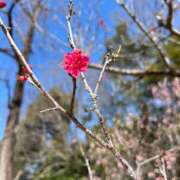 ヒメ日記 2026/03/24 14:16 投稿 都築 優衣菜 人妻セレブ宮殿