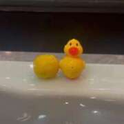 ヒメ日記 2026/01/22 12:01 投稿 のえ 東京♂風俗の神様 町田・相模原店