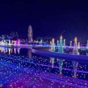 ヒメ日記 2025/02/19 15:41 投稿 うらん X-PARTY