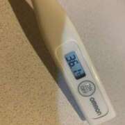 ヒメ日記 2024/12/17 13:37 投稿 ミオン(奥方) 奥様幕府