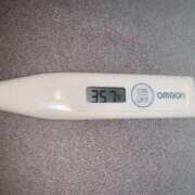 ヒメ日記 2024/12/22 12:17 投稿 ミオン(奥方) 奥様幕府