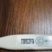 ヒメ日記 2025/02/06 13:17 投稿 ミオン(奥方) 奥様幕府