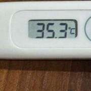 ヒメ日記 2025/02/08 13:17 投稿 ミオン(奥方) 奥様幕府