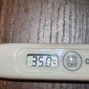 ヒメ日記 2025/02/10 12:17 投稿 ミオン(奥方) 奥様幕府