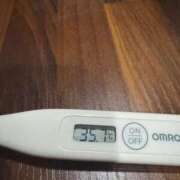 ヒメ日記 2025/02/18 13:09 投稿 ミオン(奥方) 奥様幕府