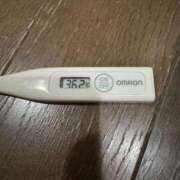 ヒメ日記 2025/02/24 12:07 投稿 ミオン(奥方) 奥様幕府