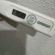 ヒメ日記 2025/04/01 13:15 投稿 ミオン(奥方) 奥様幕府