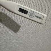 ヒメ日記 2025/04/02 13:07 投稿 ミオン(奥方) 奥様幕府