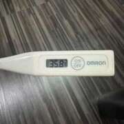 ヒメ日記 2025/04/03 12:47 投稿 ミオン(奥方) 奥様幕府