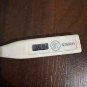 ヒメ日記 2025/04/04 13:17 投稿 ミオン(奥方) 奥様幕府