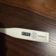 ヒメ日記 2025/04/06 11:31 投稿 ミオン(奥方) 奥様幕府