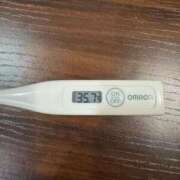 ヒメ日記 2025/04/07 12:47 投稿 ミオン(奥方) 奥様幕府