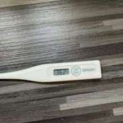 ヒメ日記 2025/04/08 12:57 投稿 ミオン(奥方) 奥様幕府