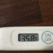 ヒメ日記 2025/04/09 13:40 投稿 ミオン(奥方) 奥様幕府