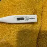 ヒメ日記 2025/04/11 11:07 投稿 ミオン(奥方) 奥様幕府