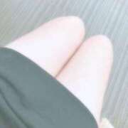 ヒメ日記 2025/04/12 03:27 投稿 ミオン(奥方) 奥様幕府