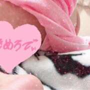 ヒメ日記 2025/04/13 02:47 投稿 ミオン(奥方) 奥様幕府