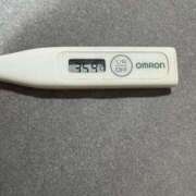 ヒメ日記 2025/05/29 13:19 投稿 ミオン(奥方) 奥様幕府