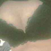 ヒメ日記 2025/05/30 01:47 投稿 ミオン(奥方) 奥様幕府