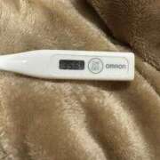 ヒメ日記 2025/05/30 13:37 投稿 ミオン(奥方) 奥様幕府