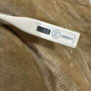 ヒメ日記 2025/06/06 13:17 投稿 ミオン(奥方) 奥様幕府