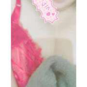 ヒメ日記 2025/06/08 03:57 投稿 ミオン(奥方) 奥様幕府