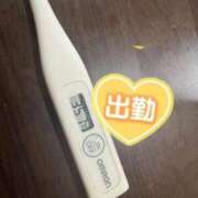 ヒメ日記 2025/06/10 12:13 投稿 ミオン(奥方) 奥様幕府