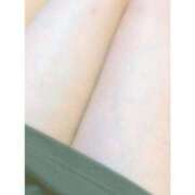 ヒメ日記 2025/06/11 18:27 投稿 ミオン(奥方) 奥様幕府