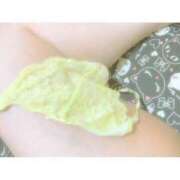 ヒメ日記 2025/06/14 03:38 投稿 ミオン(奥方) 奥様幕府