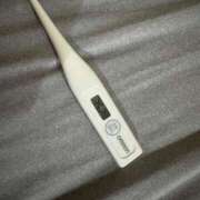 ヒメ日記 2025/06/14 13:07 投稿 ミオン(奥方) 奥様幕府