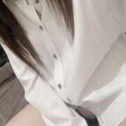 ヒメ日記 2025/06/19 03:47 投稿 ミオン(奥方) 奥様幕府