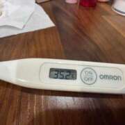 ヒメ日記 2025/06/28 14:16 投稿 ミオン(奥方) 奥様幕府