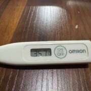 ヒメ日記 2025/07/01 13:17 投稿 ミオン(奥方) 奥様幕府