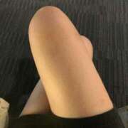 ヒメ日記 2025/07/02 03:34 投稿 ミオン(奥方) 奥様幕府