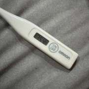 ヒメ日記 2025/07/04 13:17 投稿 ミオン(奥方) 奥様幕府