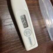 ヒメ日記 2025/07/08 11:17 投稿 ミオン(奥方) 奥様幕府