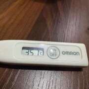 ヒメ日記 2025/07/12 13:17 投稿 ミオン(奥方) 奥様幕府