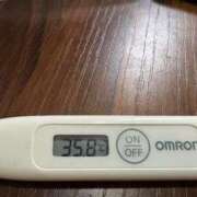 ヒメ日記 2025/07/18 14:07 投稿 ミオン(奥方) 奥様幕府