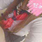 ヒメ日記 2025/07/19 05:32 投稿 ミオン(奥方) 奥様幕府