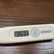 ヒメ日記 2025/09/12 12:27 投稿 ミオン(奥方) 奥様幕府