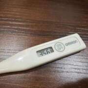 ヒメ日記 2025/09/13 12:27 投稿 ミオン(奥方) 奥様幕府