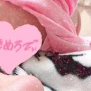 ヒメ日記 2025/09/21 00:47 投稿 ミオン(奥方) 奥様幕府