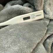 ヒメ日記 2025/09/23 13:17 投稿 ミオン(奥方) 奥様幕府