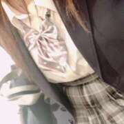 ヒメ日記 2025/09/23 18:07 投稿 ミオン(奥方) 奥様幕府