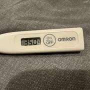 ヒメ日記 2025/10/13 09:17 投稿 ミオン(奥方) 奥様幕府