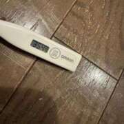 ヒメ日記 2025/10/15 10:17 投稿 ミオン(奥方) 奥様幕府