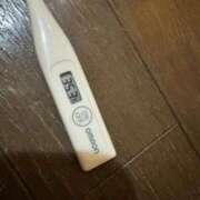 ヒメ日記 2025/10/17 11:07 投稿 ミオン(奥方) 奥様幕府