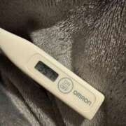 ヒメ日記 2025/10/21 12:13 投稿 ミオン(奥方) 奥様幕府